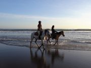 Horse Riding Experience in the Quarry of Modica