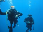 Diving Experience