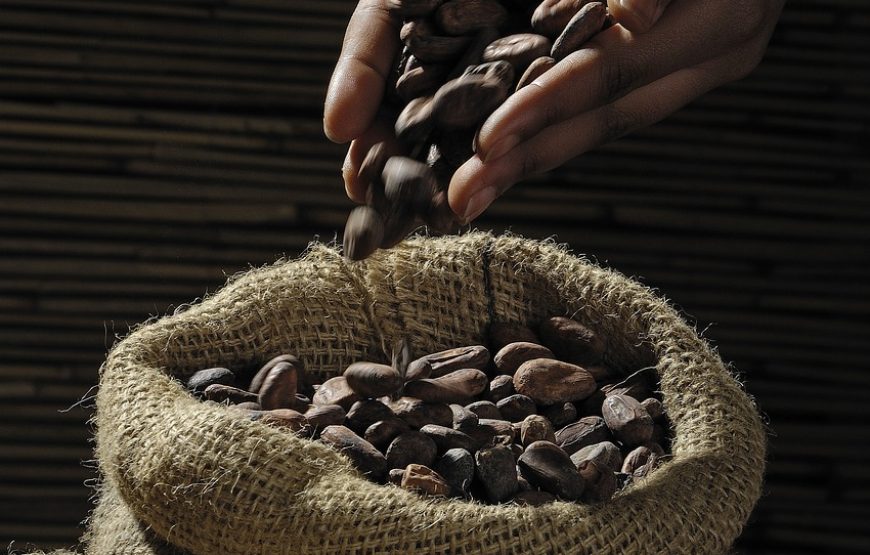 Chocolate di Modica Tasting Experience: Indulging in Sicily’s Sweet Delight