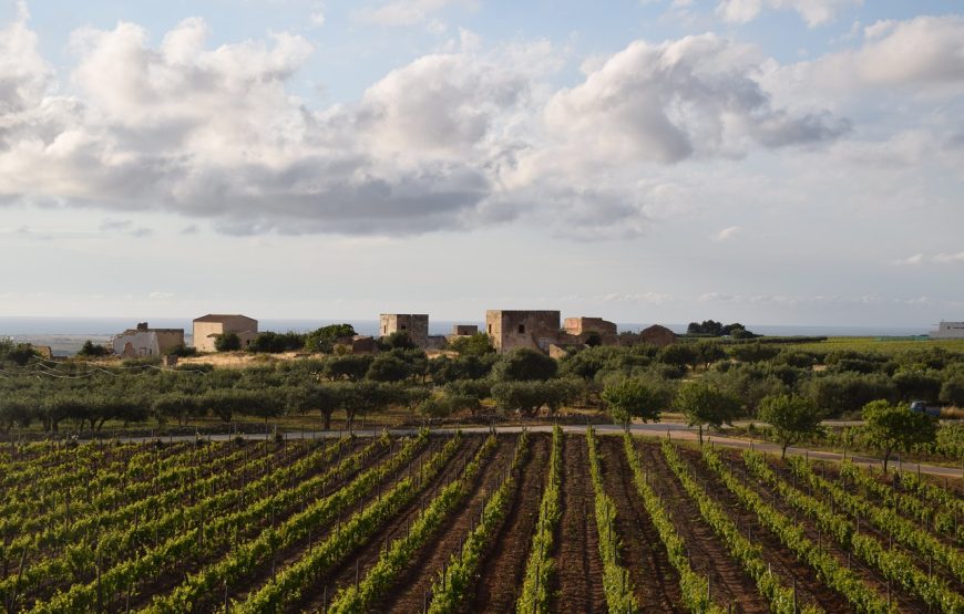 Marsala Wine Tasting Experience